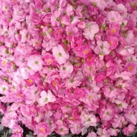 عرقیات|خوردنی و آشامیدنی|شیراز, شهرک امام حسین|دیوار