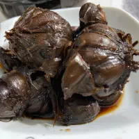 سیر ترسی هجده ساله