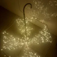 آلمان نوری چتر