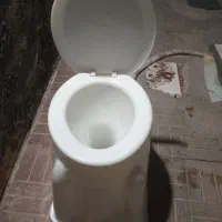 توالت فرنگی