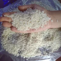 برنج هاشمی درجه یک کیلویی ۴۶۰