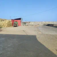 نیازمند نیروی کار