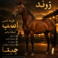 برای اولین بار در زرند
