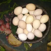 تخم مرغ محلی