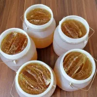 عسل طبیعی دبه ای مومدار  1.5 کیلویی مطابق تصویر