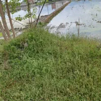 آپارتمان دوطبقه اردبیل