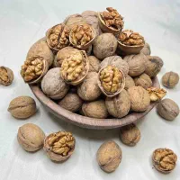 ویزیتور مواد غذایی و خشکبار