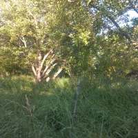 باغ ویلای ایوند خوش آب هوا درجه یک
