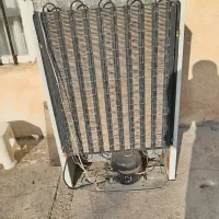 یخچال|یخچال و فریزر|جلگه رخ, |دیوار