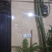 گل وگیاه