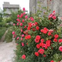 ویلادربستی دوطبقه