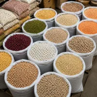 پخش عمده و جزئی حبوبات و عدس و لوبیا و نخود و تخمه