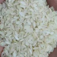 برنج کامفیروزی از تولید به مصرف به شرط پخت