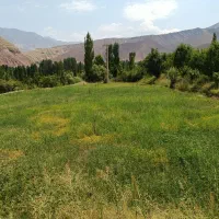 زمین-فروشی-در-الموت-روستای-سفیددر