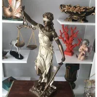 وکیل دادگستری/کارآموزوکالت/پیگیری اجرای احکام