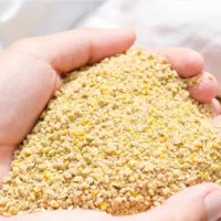 دان مرغ و جوجه گوشتی