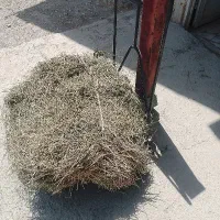 خرید و فروش یونجه و کاه