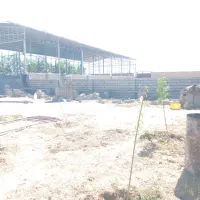 استاد بنا