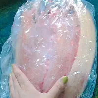 ماهی قزل آلا پاککرده به شدت خوش طعم فقط امروز ۳۶۰