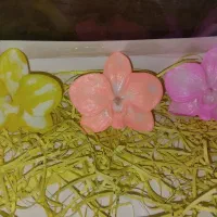 شمع بابونه و نماد سال اسب