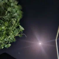 فال نجومی