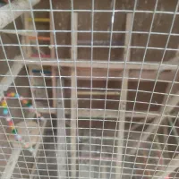 قفس یا گنجه