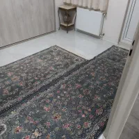 فرش ۲ متری و ۳ متری باهم در حد نو