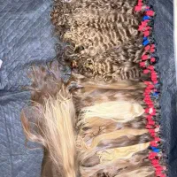 خریدارمو های خام ورنگی در سمیرم