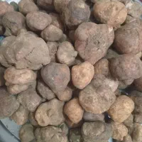 دنبل تازه بمب انرژی