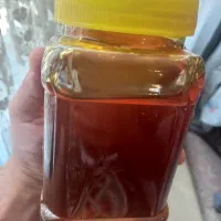 عسل طبیعی ارگانیک کوه های چهل چشمه کردستان