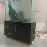 اکواریوم شیشه سکوریت