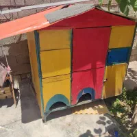 کلبه یا آشیانه مرغ خونگی
