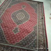 قالی|فرش|کلاترزان, |دیوار