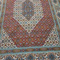 فرش|فرش|شاندرمن, |دیوار