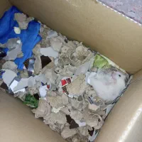 همستر|موش و خرگوش|تهران, مهرآباد|دیوار