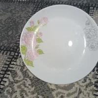 ارکوپال