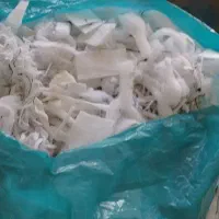 پشم شیه  لایکو زنجان
