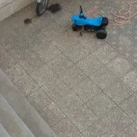 سه چرخه کودک هشتصد هزار