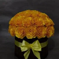 گل ربانی|گل مصنوعی|مشهد, امیر|دیوار