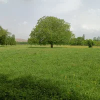 زمین-کشاورزی