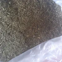 خوردن واشامیدن