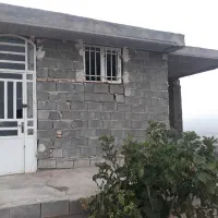 انجیر