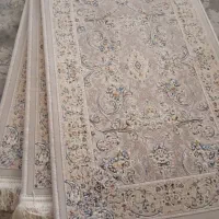 تعدادی پادری آکبند ۱۲۰۰ شانه برجسته