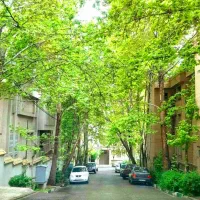 145متر اقدسیه ، گلستان شمالی