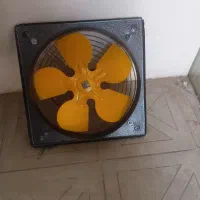 فن 30 در 30