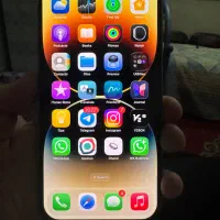 14Promax 256 zaaریجستر شده