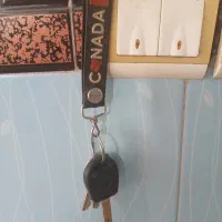 پیدا شده