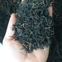 فروش قلم و چوب چای