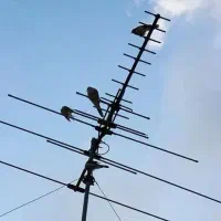 نصب انتن تنظیم انتن گیرنده دیجیتال