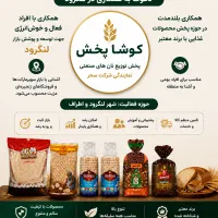 یک فرصت درآمدی برای افراد فعال و اهل بازار
